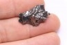 METEORITE  Campo del Cielo