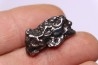 METEORITE  Campo del Cielo