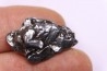 METEORITE  Campo del Cielo