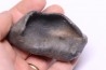 whale earbone  mio-pliocene  Florida - USA