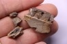 dinosaur part jaw with tooth: edmontosaurus annectens - Hell Creek  Formation - lower cretaceous - Dawson County, Montana
