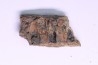 dinosaur part jaw with tooth: edmontosaurus annectens - Hell Creek  Formation - lower cretaceous - Dawson County, Montana