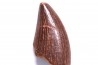 dinosaur tooth DELTADROMEUS AGILIS