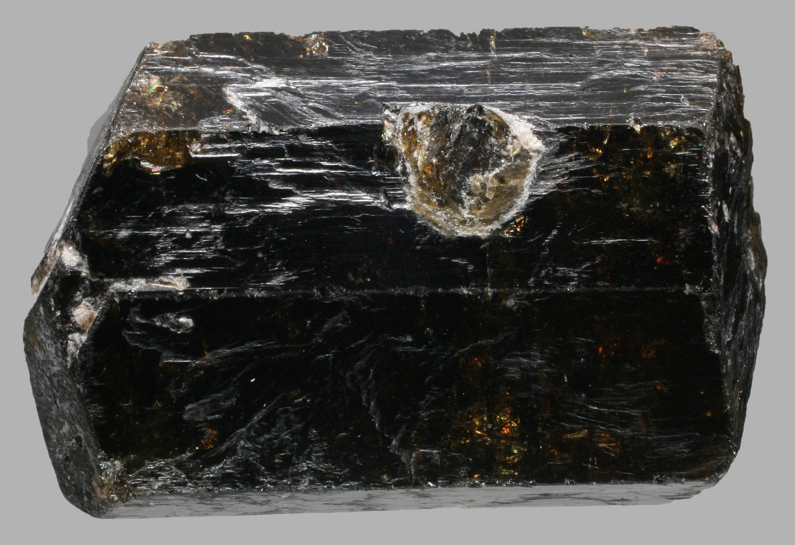 Tourmaline DRAVITE biterminé du Népal