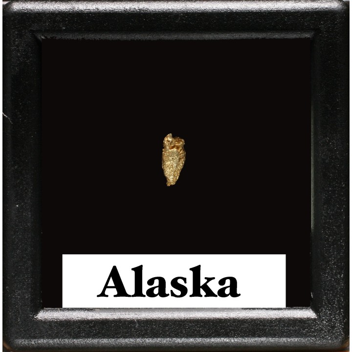 Pépite d'Or - Yukon, ALASKA
