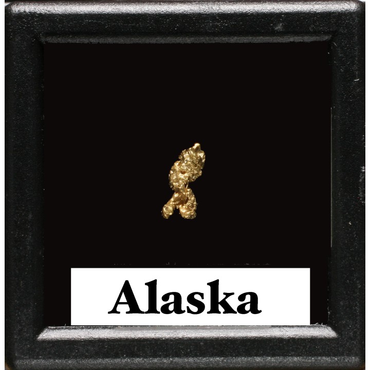 Pépite d'Or - Yukon, ALASKA