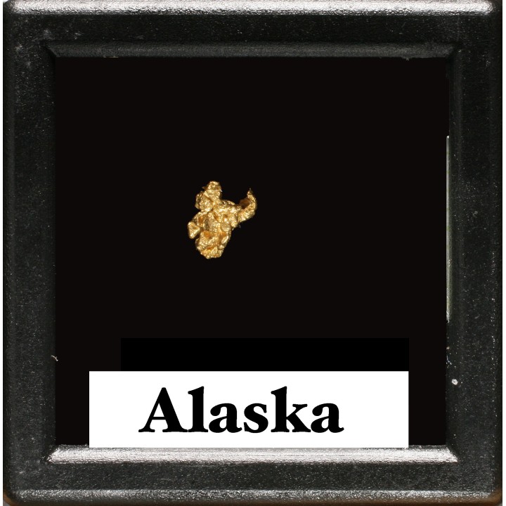 gold nugget  - yukon, ALASKA
