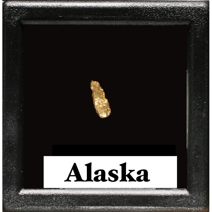 Pépite d'Or - Yukon, ALASKA