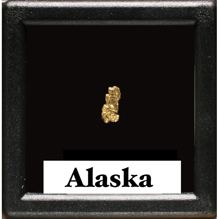 gold nugget  - yukon, ALASKA