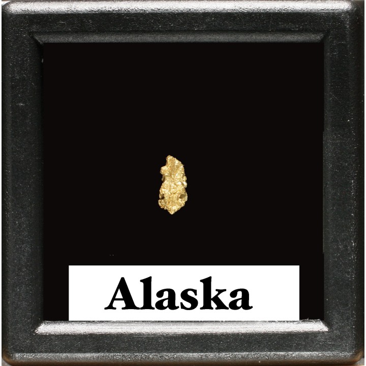 gold nugget  - yukon, ALASKA