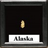 gold nugget  - yukon, ALASKA