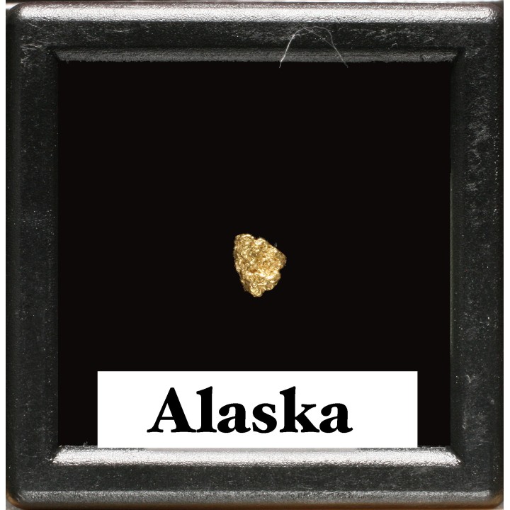 Pépite d'Or - Yukon, ALASKA
