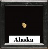 gold nugget  - yukon, ALASKA