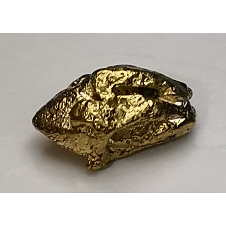 Pépite d'Or - Yukon, ALASKA