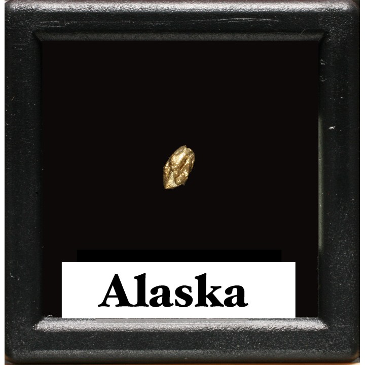 gold nugget  - yukon, ALASKA