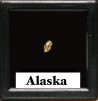 gold nugget  - yukon, ALASKA