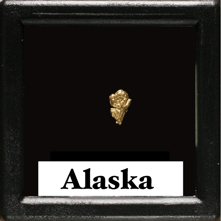 Pépite d'Or - Yukon, ALASKA