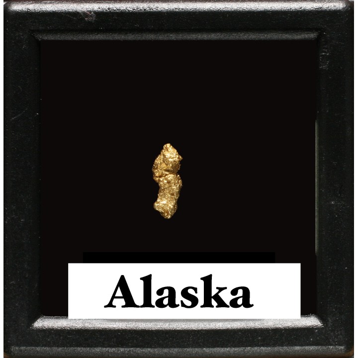 Pépite d'Or - Yukon, ALASKA