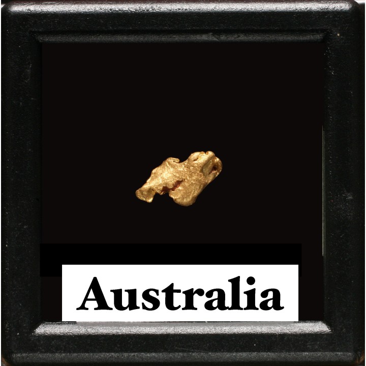 gold nugget - Kalgoorlie, Australia