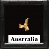 gold nugget - Kalgoorlie, Australia