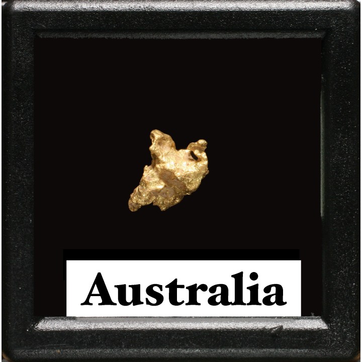 gold nugget - Kalgoorlie, Australia