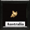 Pepite d'or - Kalgoorlie, Australie
