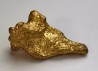 gold nugget - Kalgoorlie, Australia