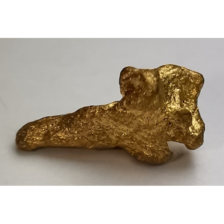 gold nugget - Kalgoorlie, Australia