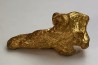 Pepite d'or - Kalgoorlie, Australie