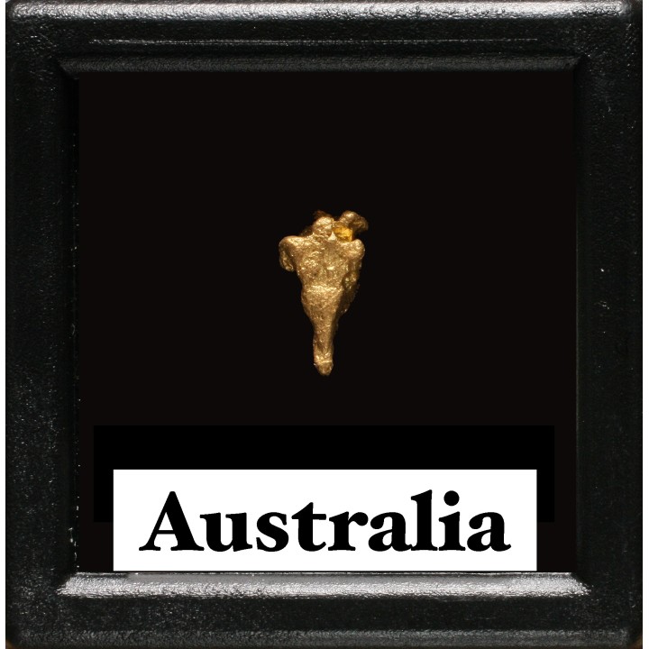 Pepite d'or - Kalgoorlie, Australie