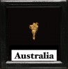 gold nugget - Kalgoorlie, Australia