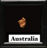 gold nugget - Kalgoorlie, Australia