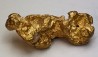 gold nugget - Kalgoorlie, Australia