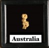 Pepite d'or - Kalgoorlie, Australie