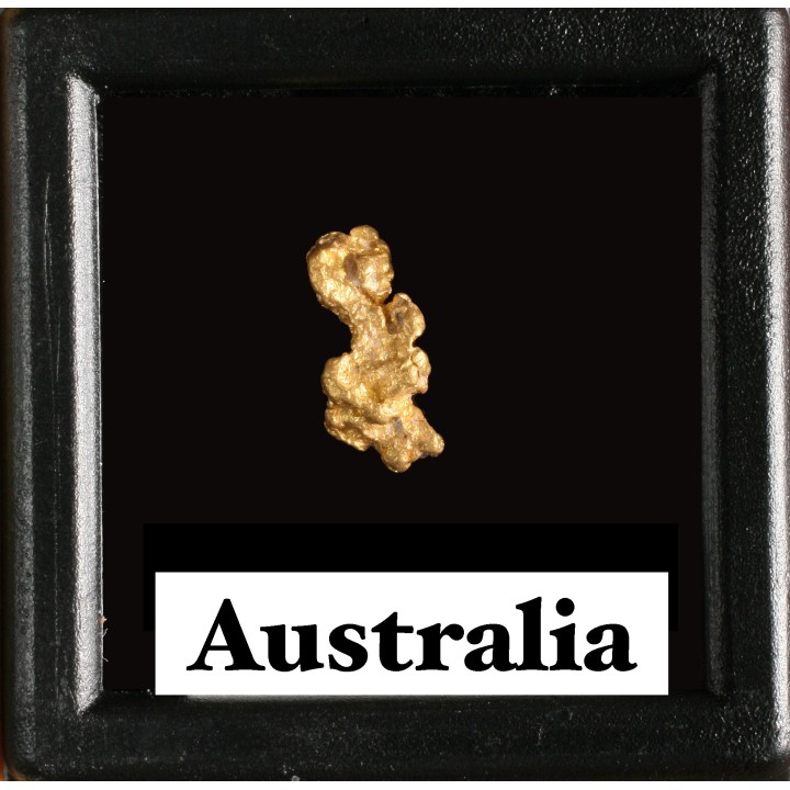 gold nugget - Kalgoorlie, Australia