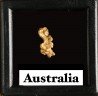 Pepite d'or - Kalgoorlie, Australie