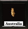 gold nugget - Kalgoorlie, Australia