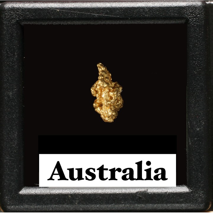 gold nugget - Kalgoorlie, Australia