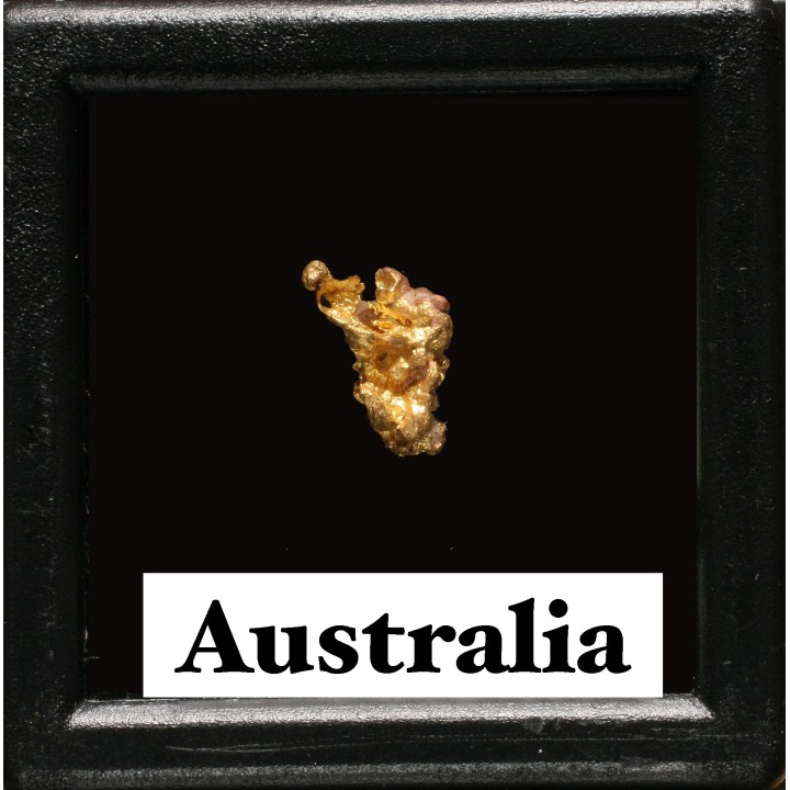 gold nugget - Kalgoorlie, Australia
