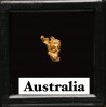 Pepite d'or - Kalgoorlie, Australie