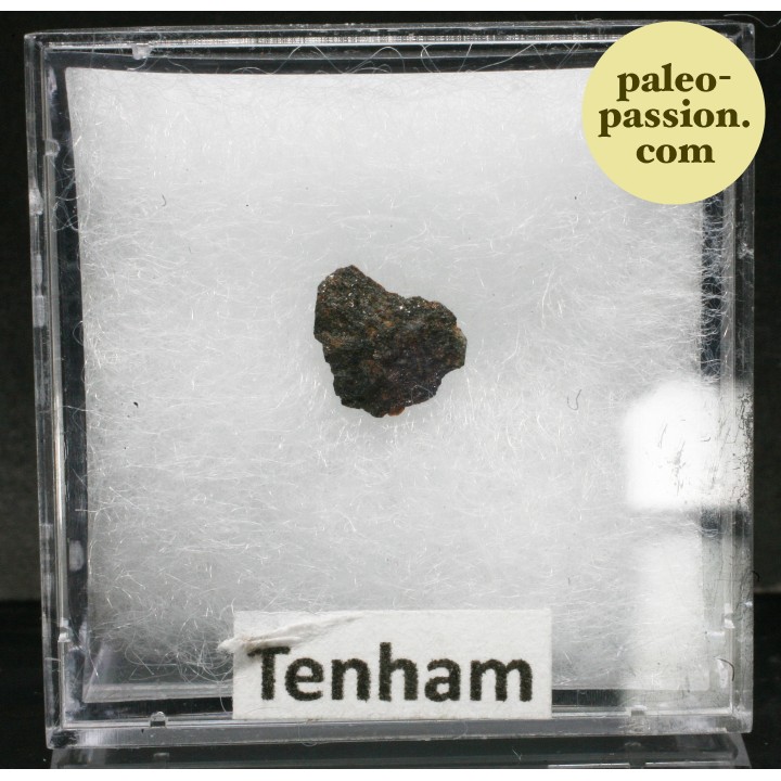 Météorite Chondrite L6 - Tenham, Australie