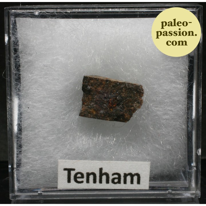 Météorite Chondrite L6 - Tenham, Australie