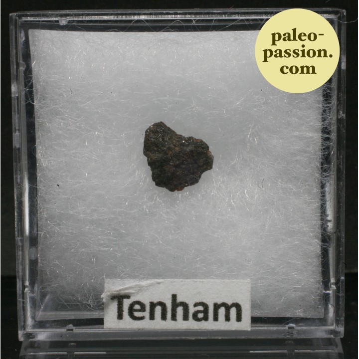 Meteorite Chondrite L6 - Tenham, Australia