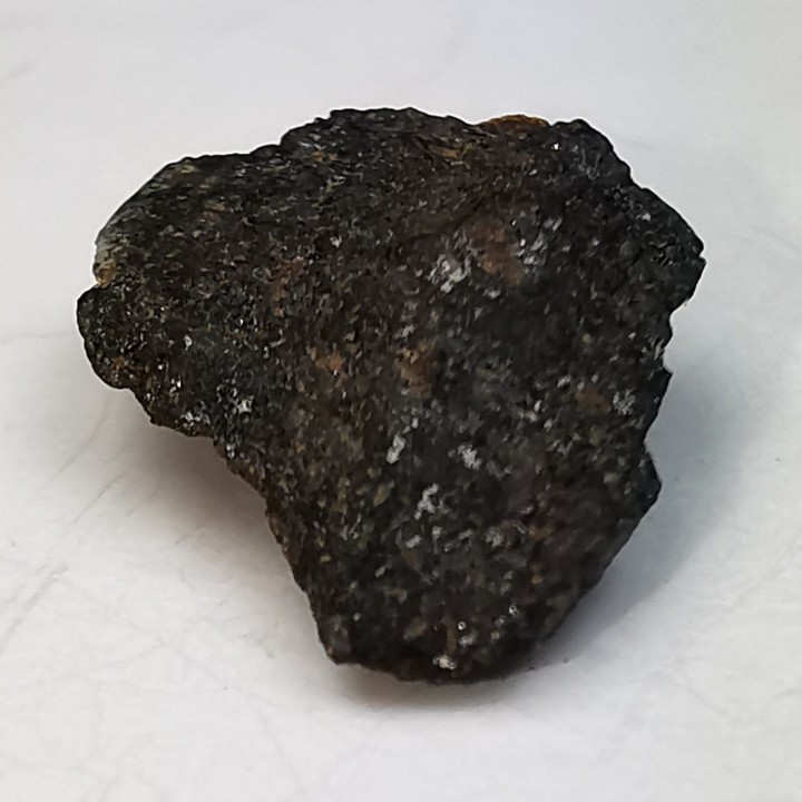 Meteorite Chondrite L6 - Tenham, Australia