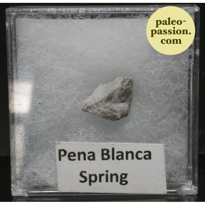 Meteorite Achondrite Aubrite AUB - Pena Blanca Springs, Texas