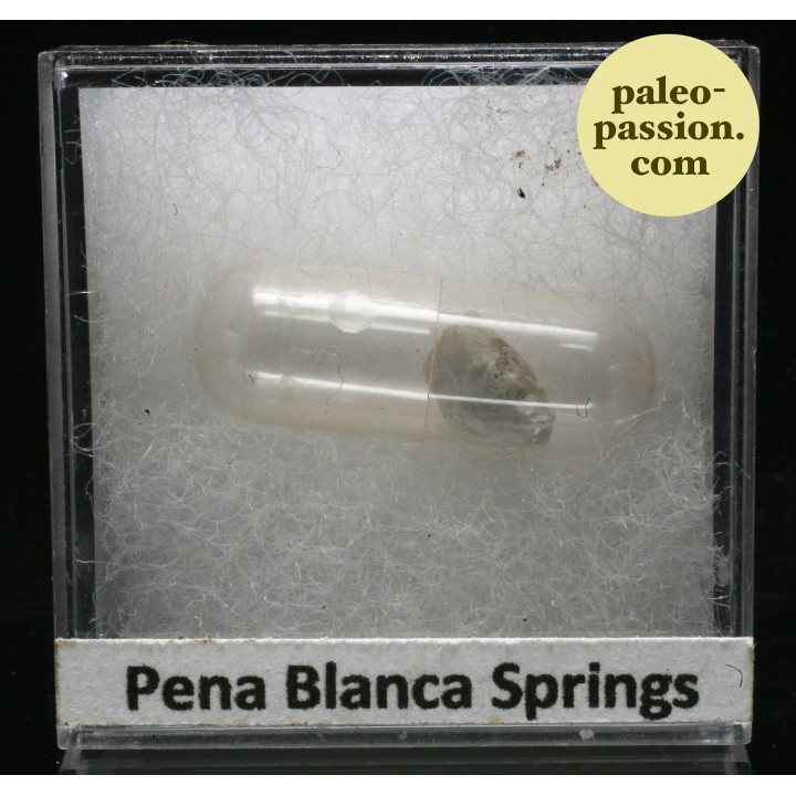 Météorite Achondrite Aubrite AUB - Pena Blanca Springs, Texas