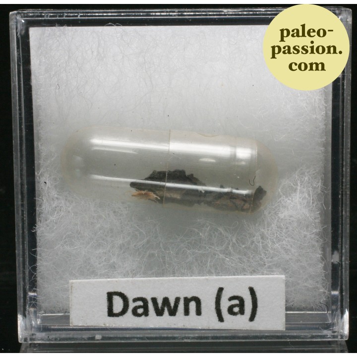 Meteorite Octahedrite OBC H6 - Dawn a, Texas