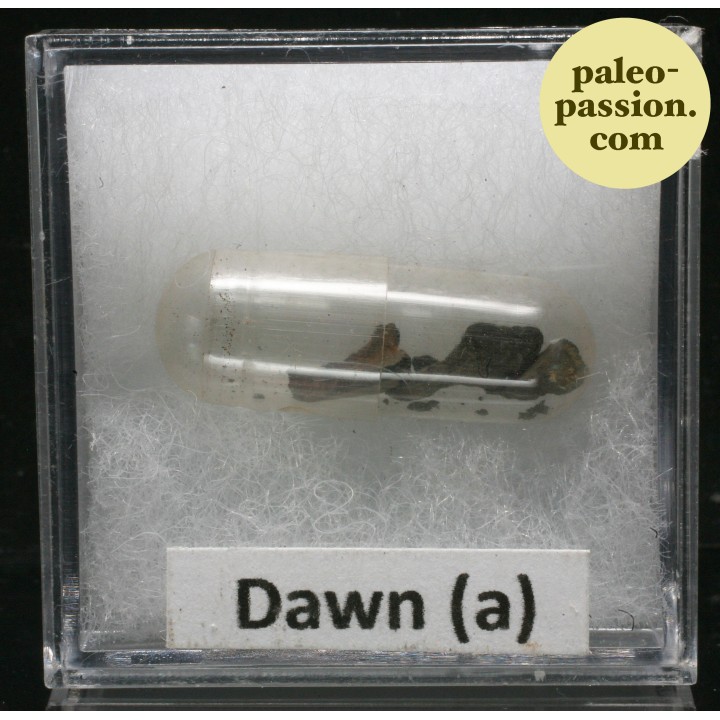 Meteorite Octahedrite OBC H6 - Dawn a, Texas