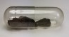 Meteorite Octahedrite OBC H6 - Dawn a, Texas
