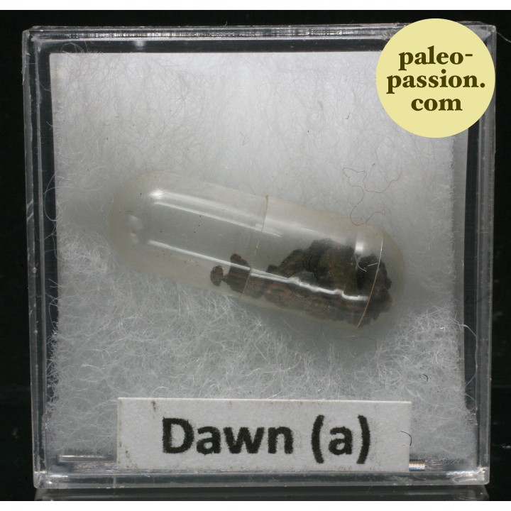 Météorite Octaédrite OBC H6 - Dawn a, Texas